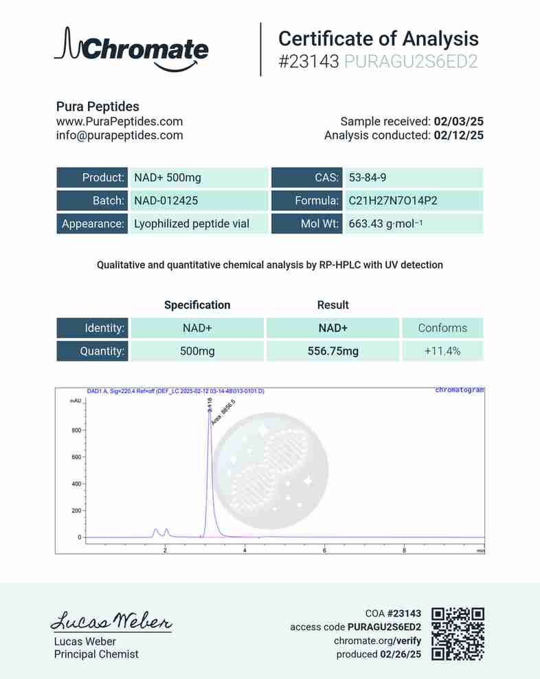 NAD+ 500mg NAD+ 500mg